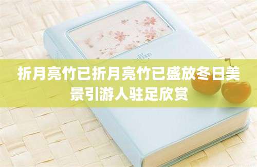折月亮竹已折月亮竹已盛放冬日美景引游人驻足欣赏