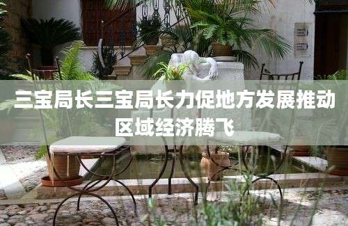 三宝局长三宝局长力促地方发展推动区域经济腾飞