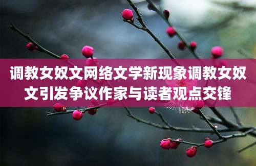 调教女奴文网络文学新现象调教女奴文引发争议作家与读者观点交锋