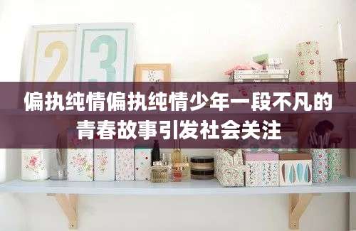 偏执纯情偏执纯情少年一段不凡的青春故事引发社会关注