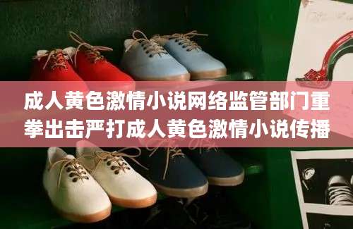成人黄色激情小说网络监管部门重拳出击严打成人黄色激情小说传播