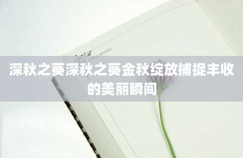 深秋之葵深秋之葵金秋绽放捕捉丰收的美丽瞬间