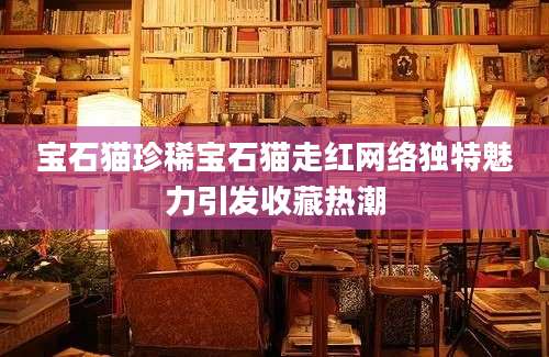 宝石猫珍稀宝石猫走红网络独特魅力引发收藏热潮