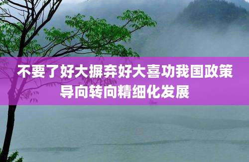 不要了好大摒弃好大喜功我国政策导向转向精细化发展