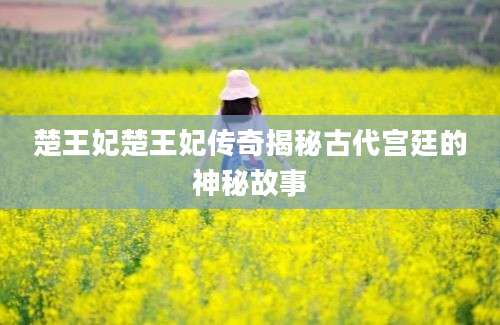 楚王妃楚王妃传奇揭秘古代宫廷的神秘故事