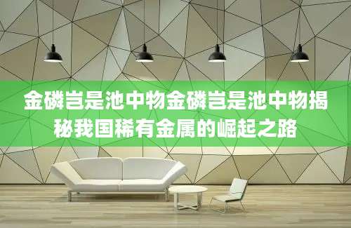 金磷岂是池中物金磷岂是池中物揭秘我国稀有金属的崛起之路