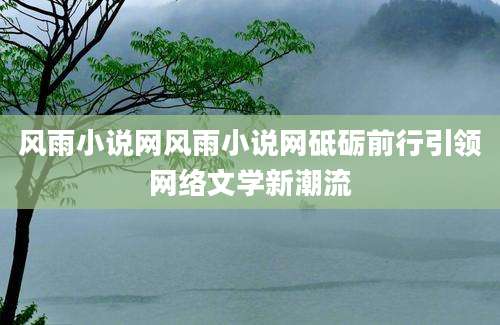 风雨小说网风雨小说网砥砺前行引领网络文学新潮流