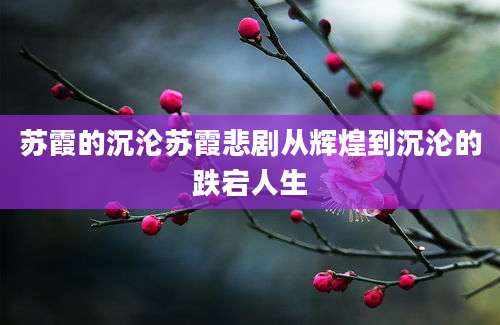苏霞的沉沦苏霞悲剧从辉煌到沉沦的跌宕人生