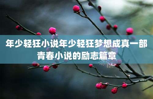 年少轻狂小说年少轻狂梦想成真一部青春小说的励志篇章
