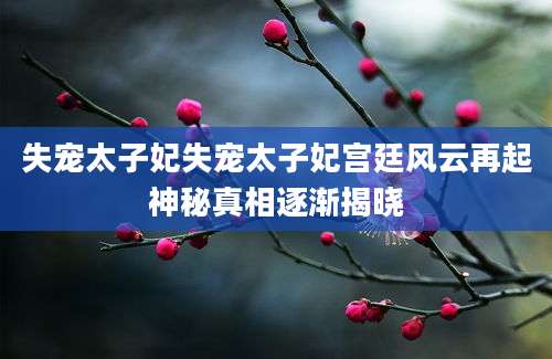 失宠太子妃失宠太子妃宫廷风云再起神秘真相逐渐揭晓