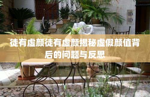 徒有虚颜徒有虚颜揭秘虚假颜值背后的问题与反思