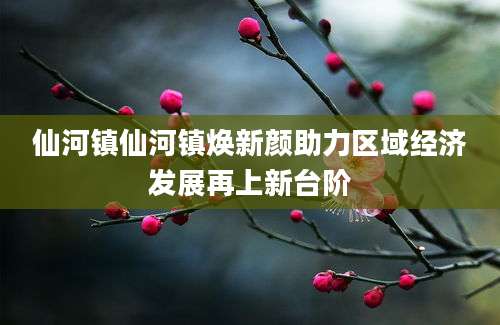 仙河镇仙河镇焕新颜助力区域经济发展再上新台阶
