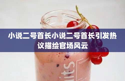 小说二号首长小说二号首长引发热议描绘官场风云