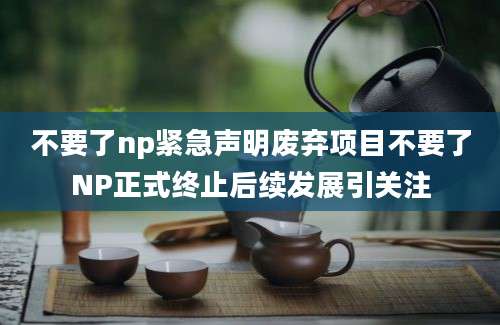 不要了np紧急声明废弃项目不要了NP正式终止后续发展引关注