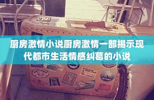 厨房激情小说厨房激情一部揭示现代都市生活情感纠葛的小说