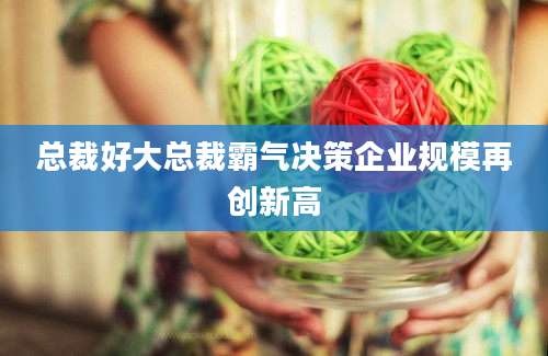 总裁好大总裁霸气决策企业规模再创新高