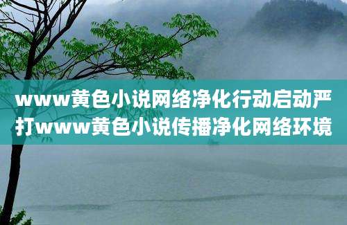www黄色小说网络净化行动启动严打www黄色小说传播净化网络环境
