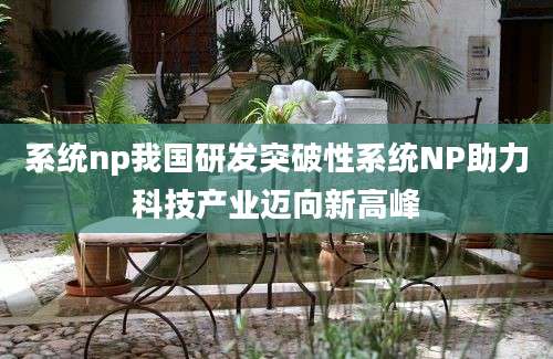 系统np我国研发突破性系统NP助力科技产业迈向新高峰
