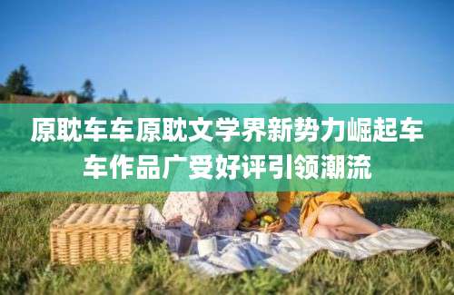 原耽车车原耽文学界新势力崛起车车作品广受好评引领潮流