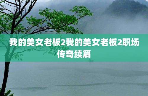 我的美女老板2我的美女老板2职场传奇续篇