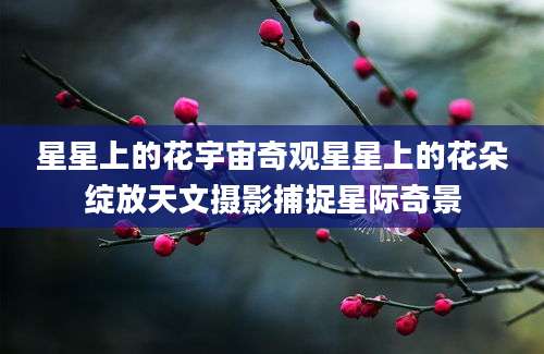 星星上的花宇宙奇观星星上的花朵绽放天文摄影捕捉星际奇景