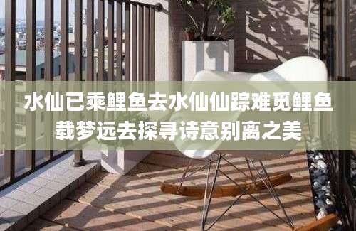 水仙已乘鲤鱼去水仙仙踪难觅鲤鱼载梦远去探寻诗意别离之美