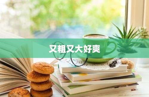 又粗又大好爽