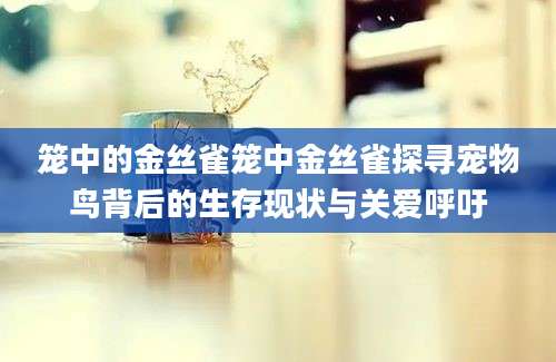 笼中的金丝雀笼中金丝雀探寻宠物鸟背后的生存现状与关爱呼吁