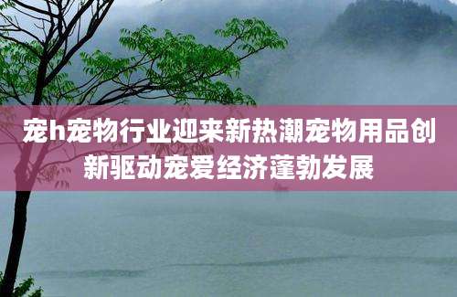 宠h宠物行业迎来新热潮宠物用品创新驱动宠爱经济蓬勃发展