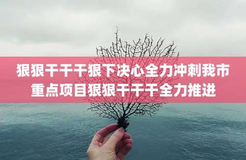 狠狠干干干狠下决心全力冲刺我市重点项目狠狠干干干全力推进