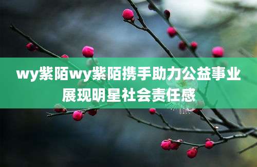 wy紫陌wy紫陌携手助力公益事业展现明星社会责任感