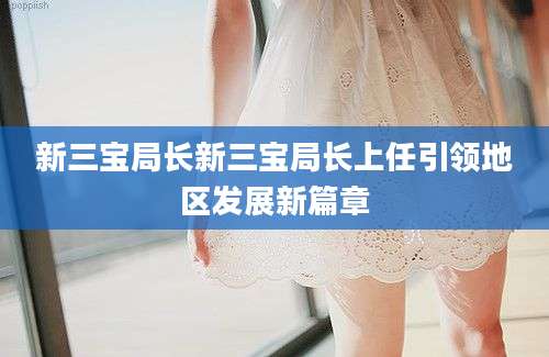 新三宝局长新三宝局长上任引领地区发展新篇章
