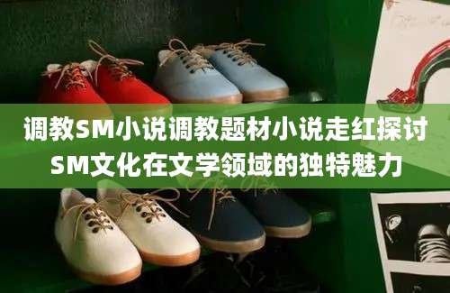 调教SM小说调教题材小说走红探讨SM文化在文学领域的独特魅力