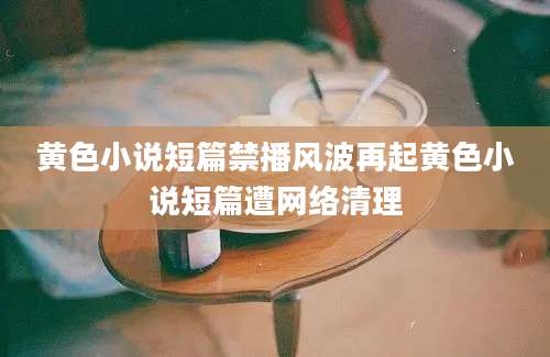 黄色小说短篇禁播风波再起黄色小说短篇遭网络清理