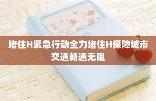 堵住H紧急行动全力堵住H保障城市交通畅通无阻