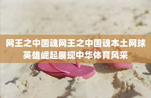 网王之中国魂网王之中国魂本土网球英雄崛起展现中华体育风采