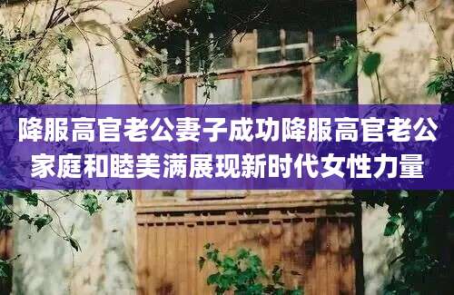 降服高官老公妻子成功降服高官老公家庭和睦美满展现新时代女性力量