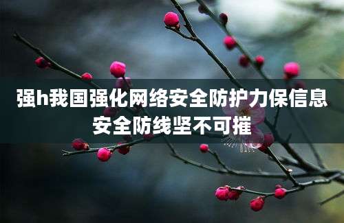 强h我国强化网络安全防护力保信息安全防线坚不可摧
