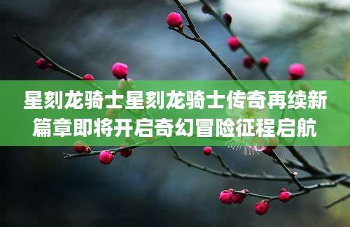 星刻龙骑士星刻龙骑士传奇再续新篇章即将开启奇幻冒险征程启航