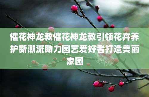催花神龙教催花神龙教引领花卉养护新潮流助力园艺爱好者打造美丽家园