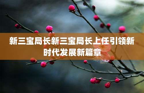 新三宝局长新三宝局长上任引领新时代发展新篇章