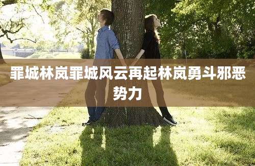 罪城林岚罪城风云再起林岚勇斗邪恶势力