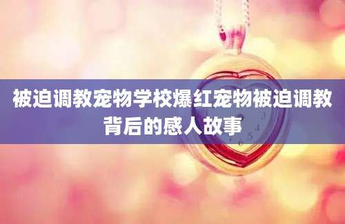 被迫调教宠物学校爆红宠物被迫调教背后的感人故事