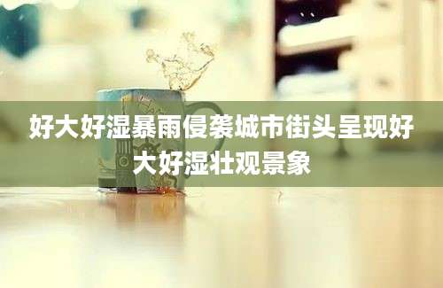 好大好湿暴雨侵袭城市街头呈现好大好湿壮观景象