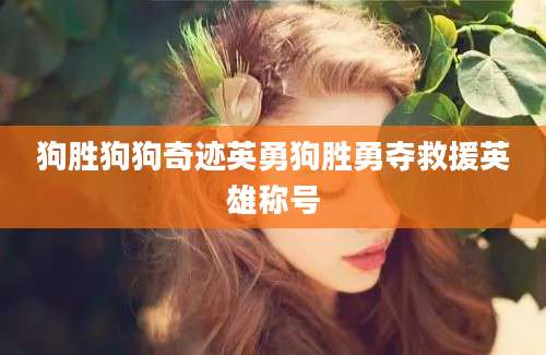 狗胜狗狗奇迹英勇狗胜勇夺救援英雄称号