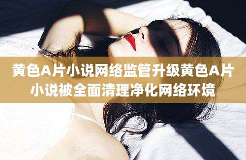 黄色A片小说网络监管升级黄色A片小说被全面清理净化网络环境