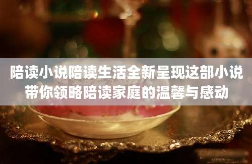陪读小说陪读生活全新呈现这部小说带你领略陪读家庭的温馨与感动