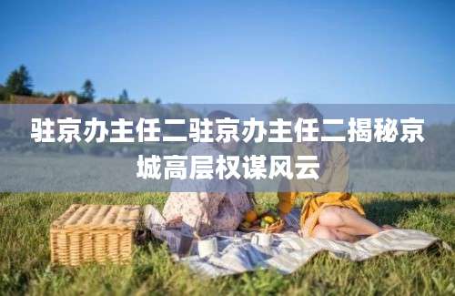 驻京办主任二驻京办主任二揭秘京城高层权谋风云