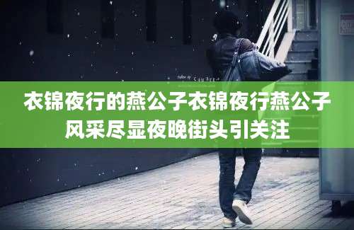 衣锦夜行的燕公子衣锦夜行燕公子风采尽显夜晚街头引关注