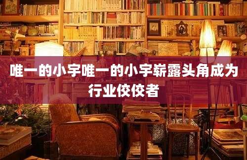 唯一的小宇唯一的小宇崭露头角成为行业佼佼者